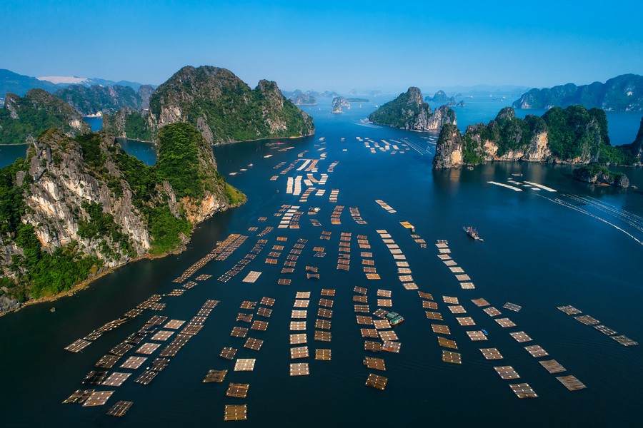 Bai Tu Long Bay, Halong